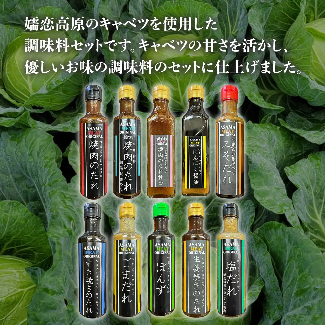 【訳あり】 肉料理のタレ おまかせ 5本 詰め合わせ [AH059tu]