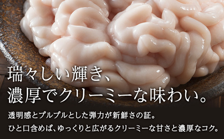 【2027年1月以降発送】【先行予約】旬の時期にチルドでお届け!北海道産白子(真鱈)500g 真だち たち タチ 真ダチ