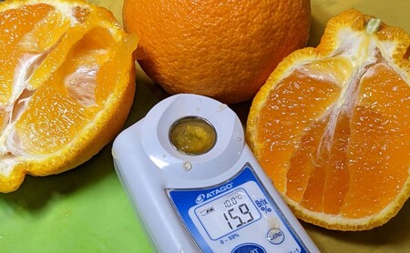 【早期受付】佐賀みかん みかん 味香デコ 3kg 果物 フルーツ ※配送不可：離島