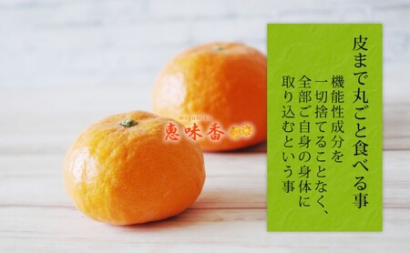 佐賀みかん ジュース 味香 贅沢搾り 果汁500ml 瓶 2本セット
