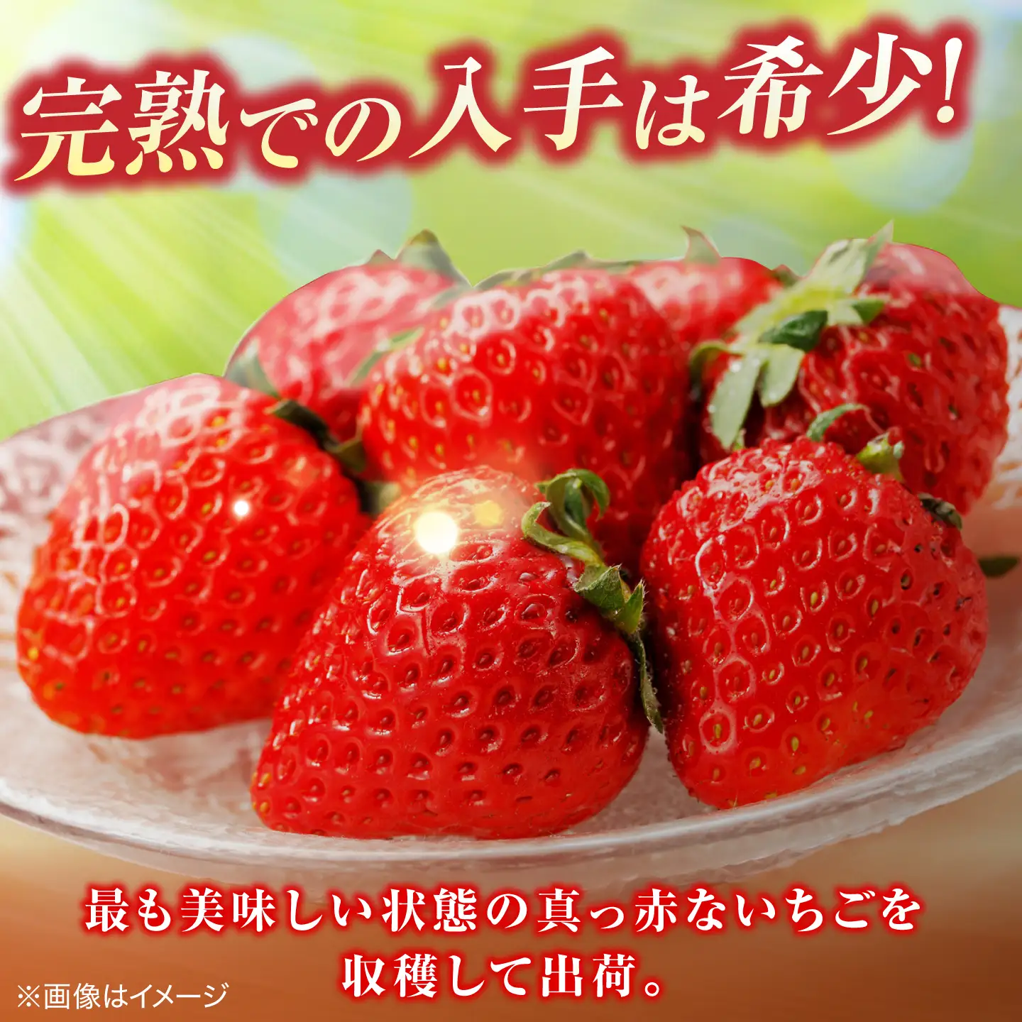 島根県産 いちご400g 苺[ALFI004] Lサイズ15個入り