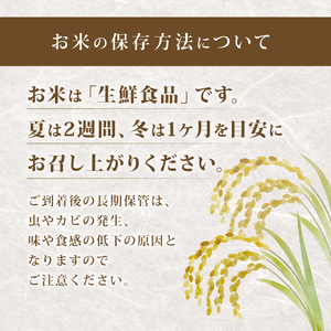 【令和7年産】 米 玄米 10kg 定期便 3ヶ月 きぬひかり
