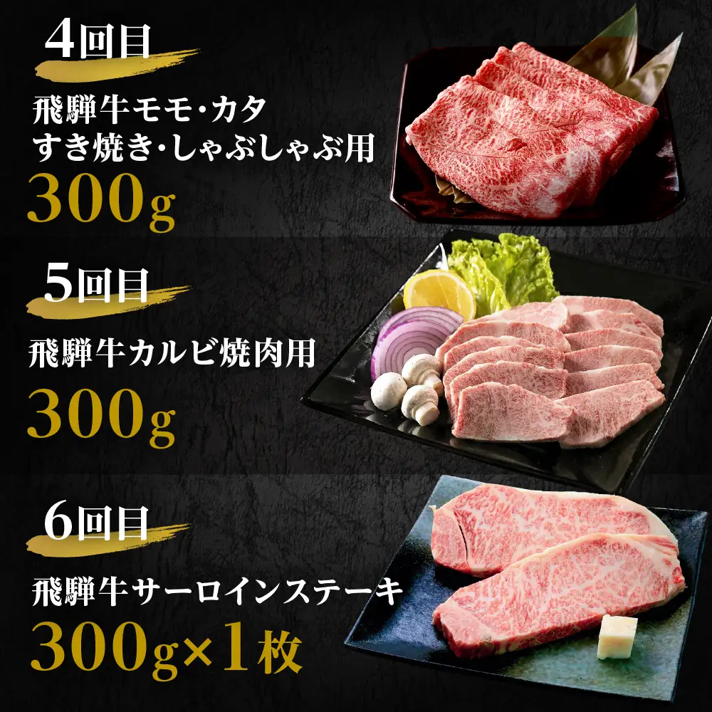 定期便 6回 A5飛騨牛 ご褒美 | 定期便