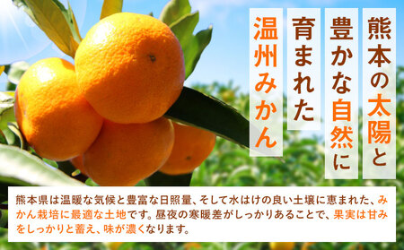 訳あり 温州みかん サイズミックス 3S ～ 3L 約3kg 日本フルーツ株式会社《10月中旬-2月下旬頃出荷予定》熊本県 荒尾市 みかん 温州みかん ミカン 蜜柑 柑橘類 訳あり ご家庭用 サイズ不揃い 果物 フルーツ