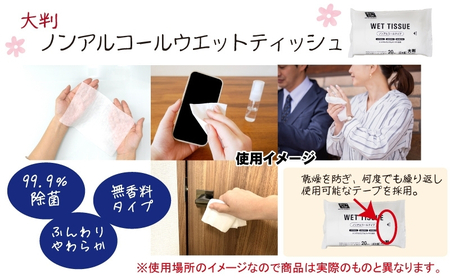 大判ウエットティッシュ（ノンアルコールタイプ）20枚入り×4個＆新生児から使える赤ちゃんおしりふき（小さめ）80枚入×5個〈KA-139M〉