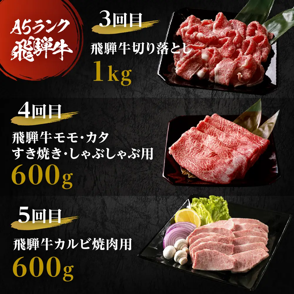 定期便 5回 A5飛騨牛 ご褒美 | 定期便