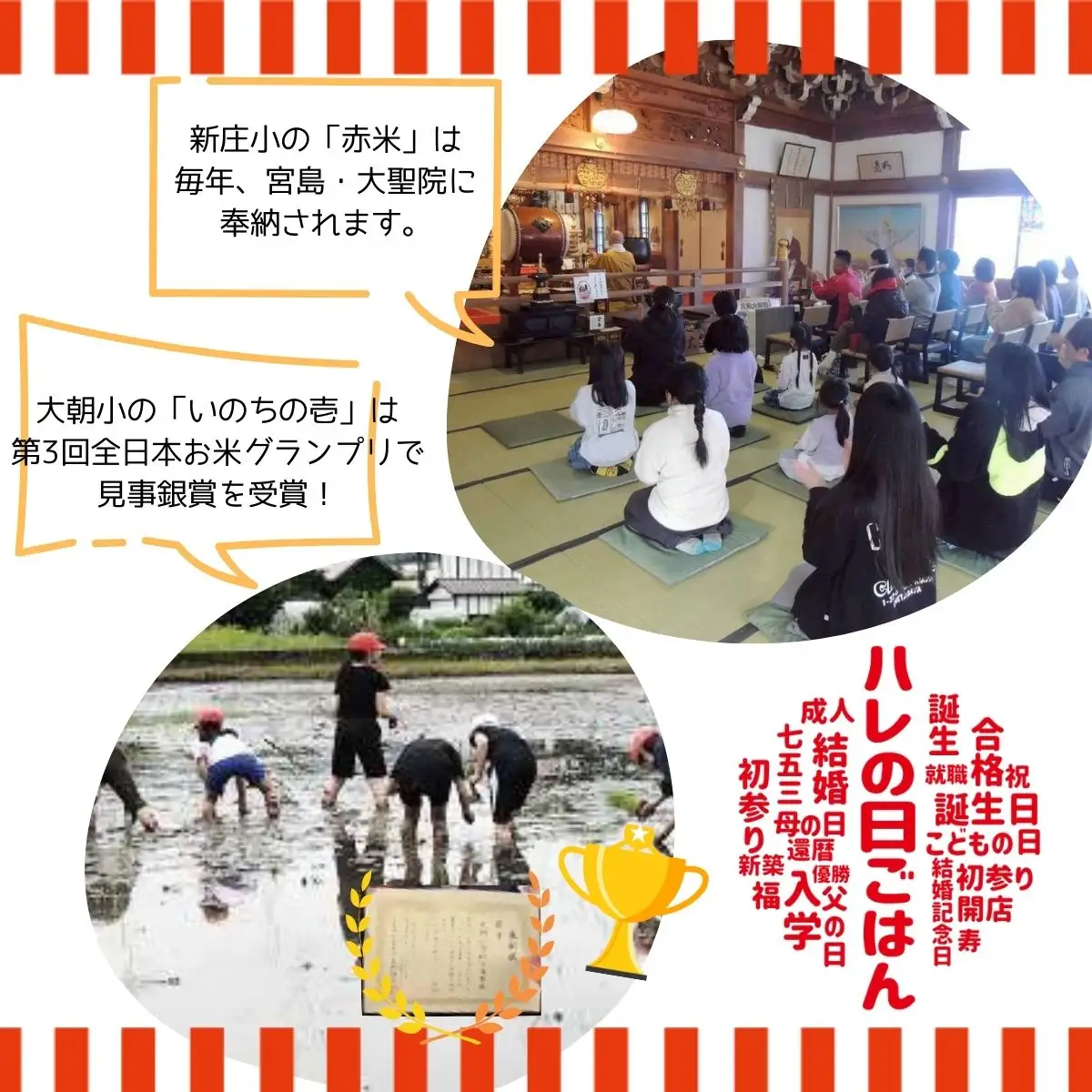 大朝小紅白米プロジェクト ハレの日ごはんセット_WA012_008