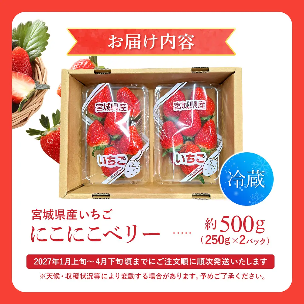 【先行受付】宮城県産いちご「にこにこベリー」約500ｇ（250ｇ×2）【58001AA0101】