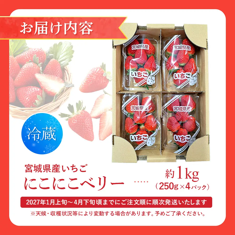 【先行受付】宮城県産いちご「にこにこベリー」約1kg（250ｇ×4）【58001BA0101】