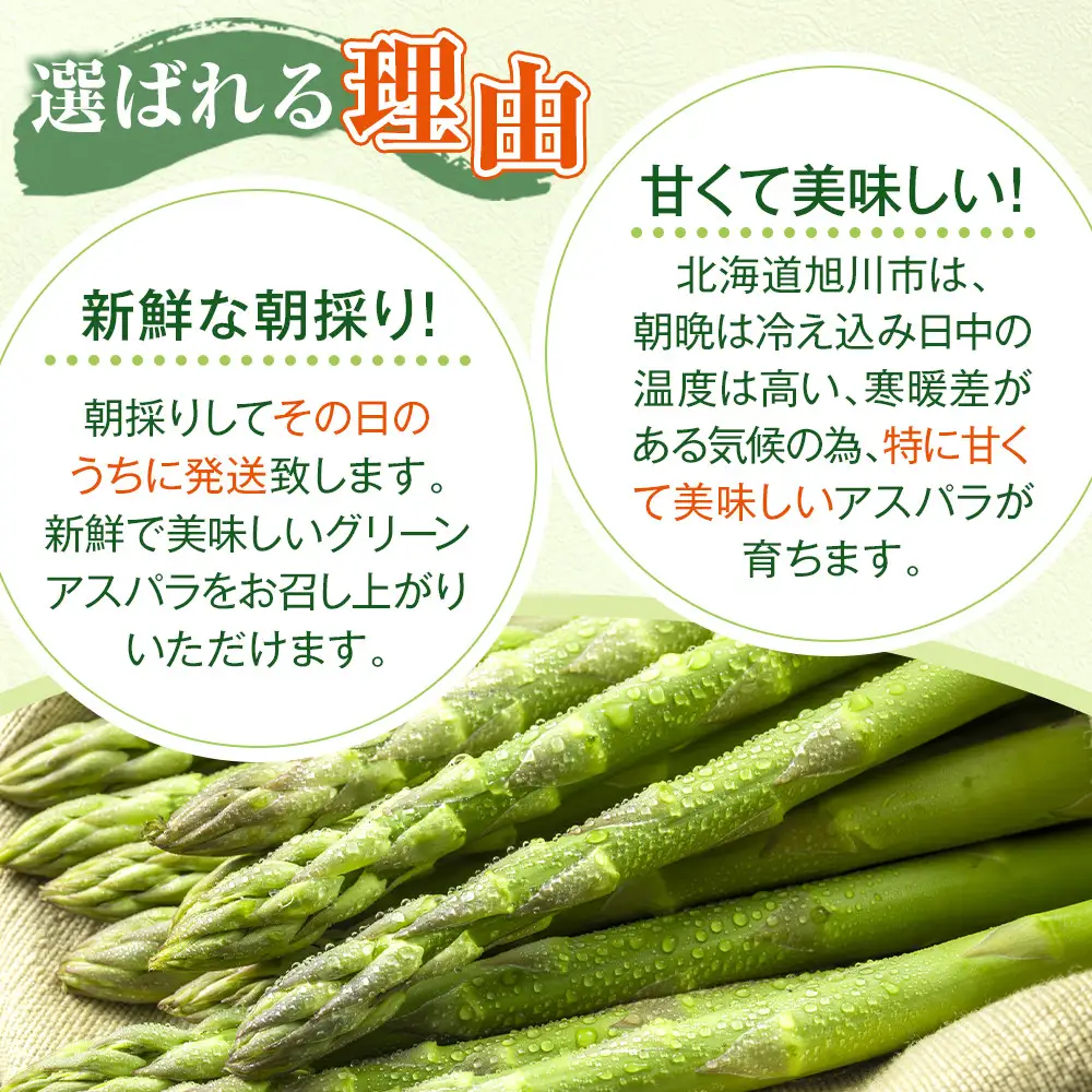 【2027年先行予約】農家直送 朝採れ 春グリーンアスパラ 2Lサイズ 800g(400g×2袋)  【野菜 アスパラガス 旬 新鮮 先行予約 アスパラガス あすぱらがす asparagus ASPARAGUS 北海道 旭川市 】_05934