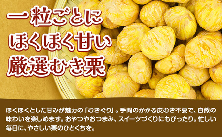 栗 生栗 1kg とくちゃん農園《2026年9月上旬-10月上旬頃出荷予定》