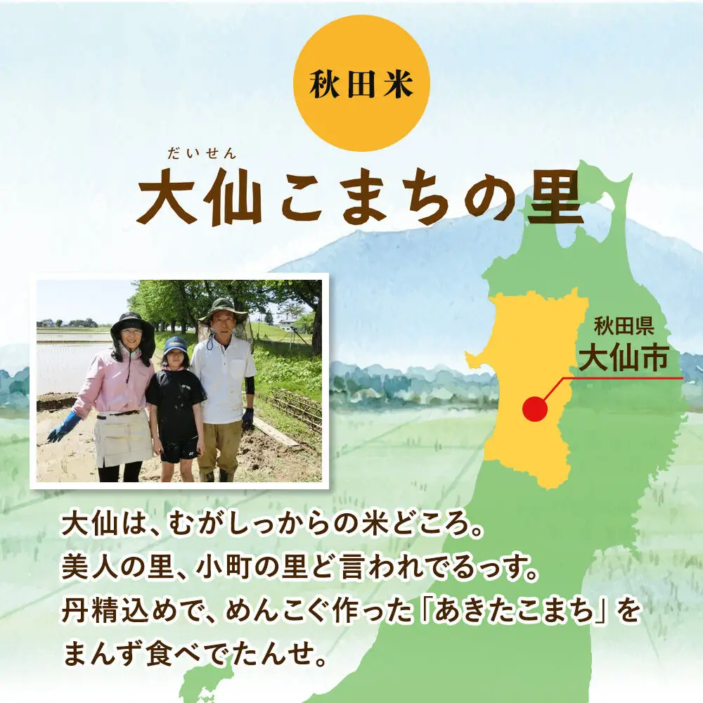 米 あきたこまち 白米 5kg 秋田県 大仙市 伊藤精米店
