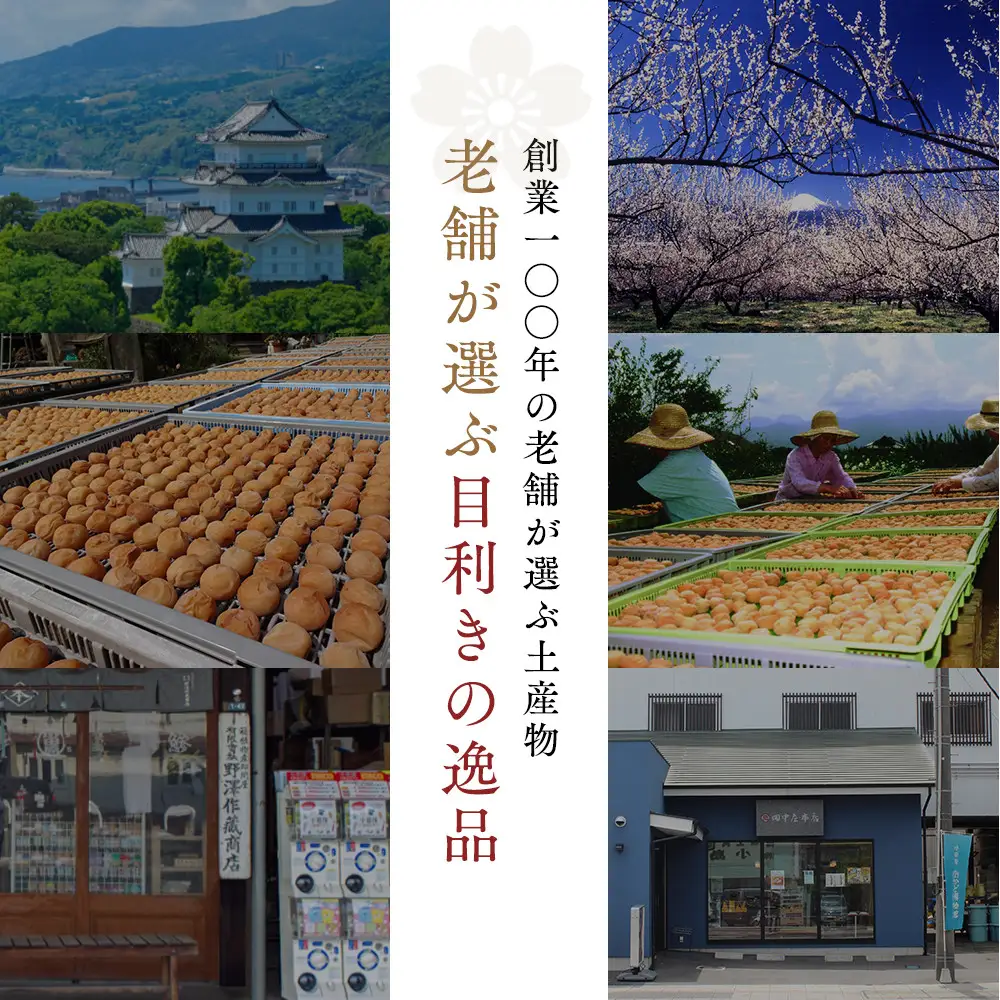 三年漬梅干　袋入り