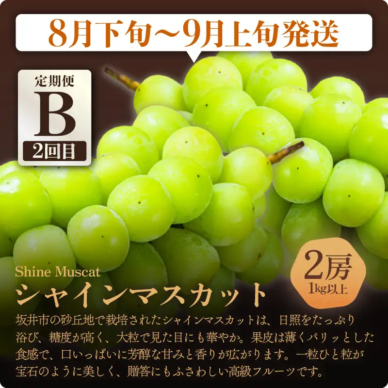 【先行予約】【定期便 3回コース】 坂井市フルーツ三昧！！「極」 B 【2027年7月上旬以降順次発送開始予定】定期便 くだもの 果物 [F-3202]