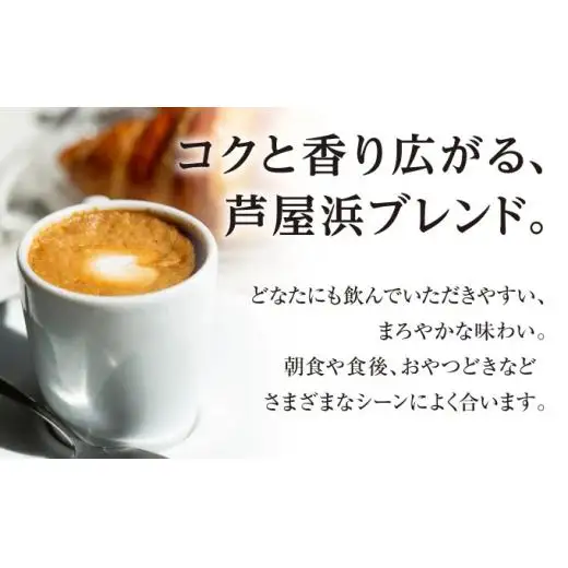 コーヒーポート芦屋浜 [ブレンド2種各250g]  スペシャルティコーヒー【粉】＆Feu クッキー8種