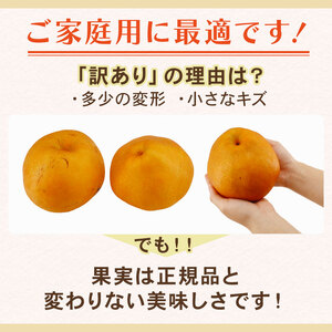 梨 訳あり 品種おまかせ梨 約5kg