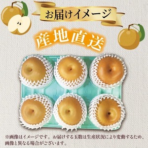 【2026年予約】 訳あり梨 品種食べ比べ梨 約2.5kg