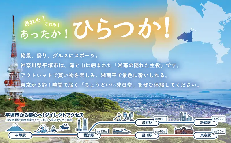 パン 湘南みかんぱん 10個 パン