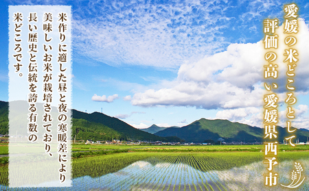 ＜令和7年産 西予市産 コシヒカリ 約5kg＞ お米 米 コメ こめ 白米 精米 ご飯 穀物 こしひかり 5キロ 特産品 愛媛県産 株式会社宇都宮米穀 愛媛県 西予市【常温】『最短10営業日以内に順次出荷予定』NKU0001