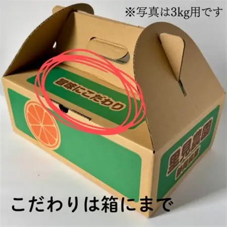 【旨味にこだわり】里見農園のみかん Sサイズ 5kg【1697941】