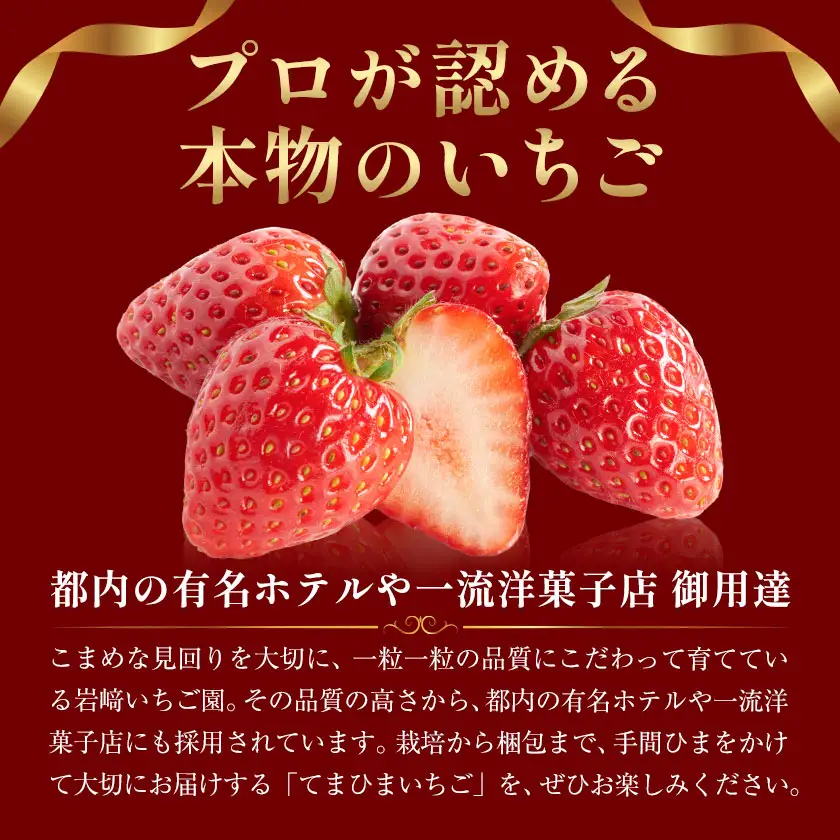 【4ヶ月定期便】いちご 栃木県芳賀町産 とちあいか 2パック 岩崎いちご園