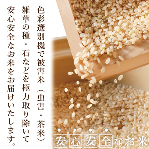 R7年産取手市産コシヒカリ 玄米20kg（5kg×4袋）|お米 米 こしひかり コシヒカリ 玄米 茨城県 取手市（BS015）