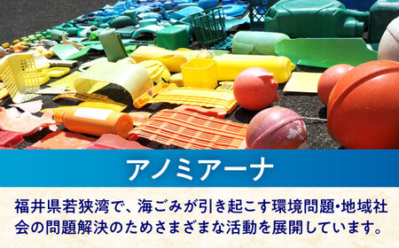 海洋プラスチック アップサイクル サニタリーセット 青色系 (ソープトレイ・歯ブラシスタンド) / リサイクル 海洋資源 ビーチクリーン buoy 小浜市 / アノミアーナ[BFDM010]