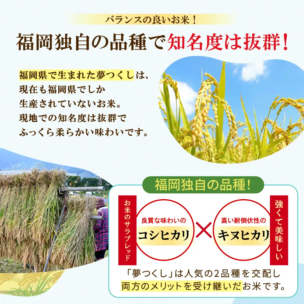 4J1 夢つくし(精米) 福岡県産ブランド米 5kg