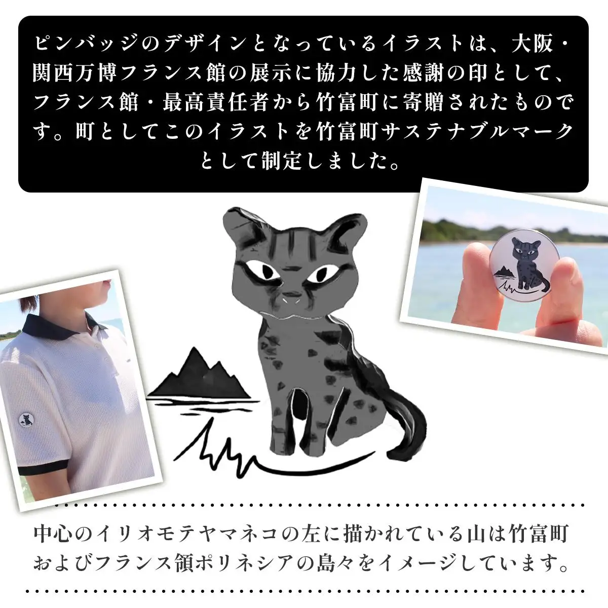 竹富町公式サステナブルマークピンバッジ【グリーン】（マグネットタイプ）
