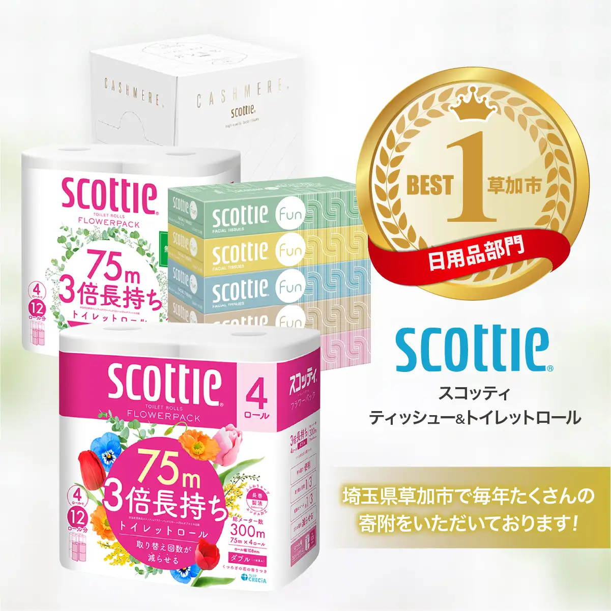 トイレットペーパー 【定期便 3ヶ月×2回】 ダブル スコッティ 草加市