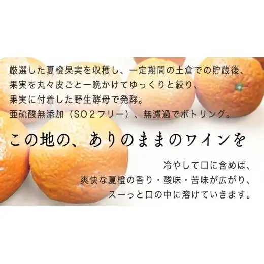有機夏橙の果実酒 「SPONTANE vin de fruits」