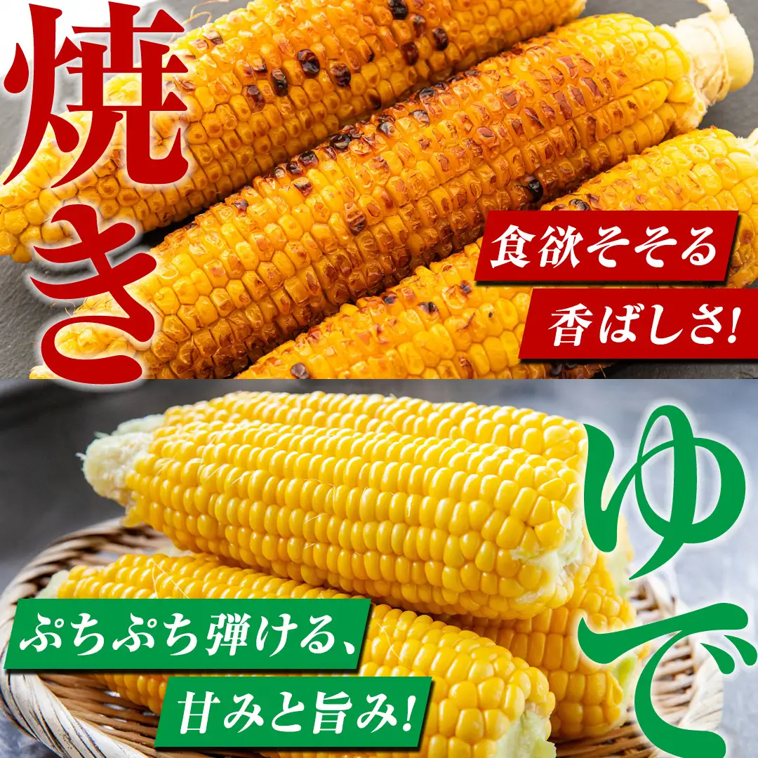 【ふるなびWEEK対象】 ＜レビューキャンペーン開催中＞【8月下旬発送開始】 甘～いトウモロコシ 恵味 5kg 約10～12本 [AL005tu02]