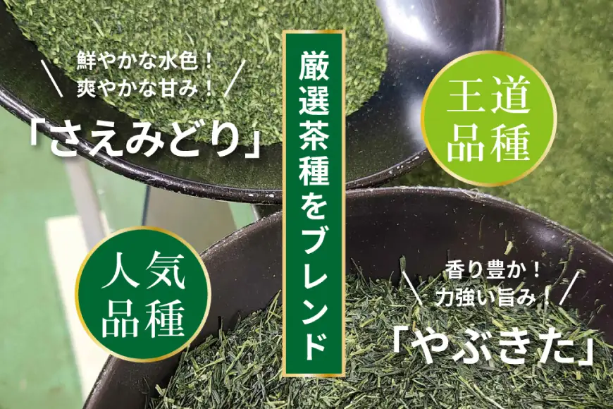 お茶 ティーバッグ 特撰 みやざき煎茶 3袋 セット