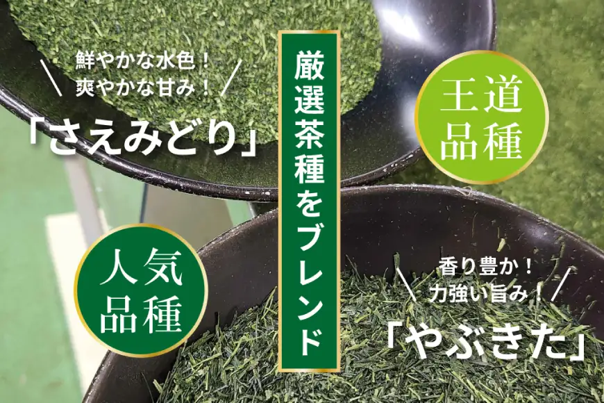 お茶 ティーバッグ 特撰 みやざき煎茶 5袋 セット