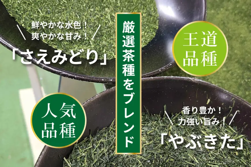 お茶 ティーバッグ 特撰 みやざき煎茶 10袋 セット