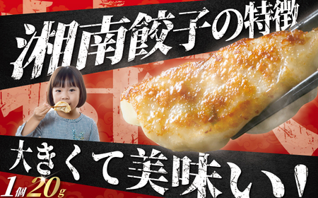 生餃子 144個  餃子