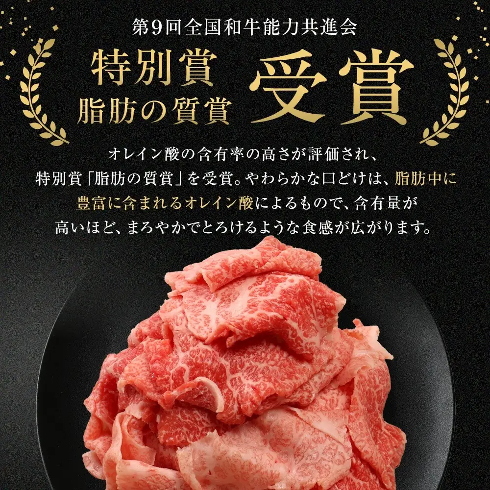 能登牛　切り落とし　500g(500g×1パック)　国産　石川県　黒毛和牛　牛肉　牛丼　肉じゃが　カレー　牛肉料理