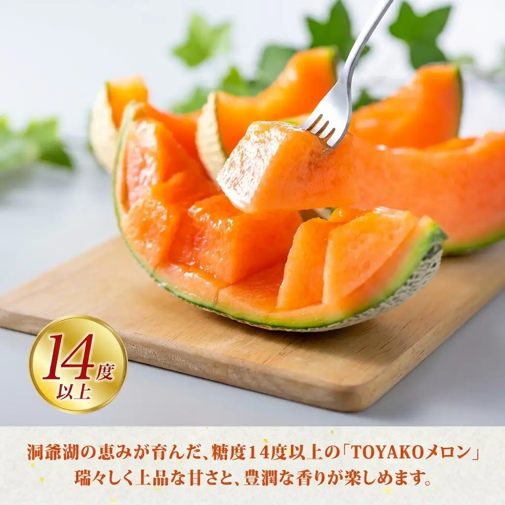 メロン TOYAKOメロン 赤肉 北海道産 メロン【2玉 計4.8〜5.4kg】【先行予約】
