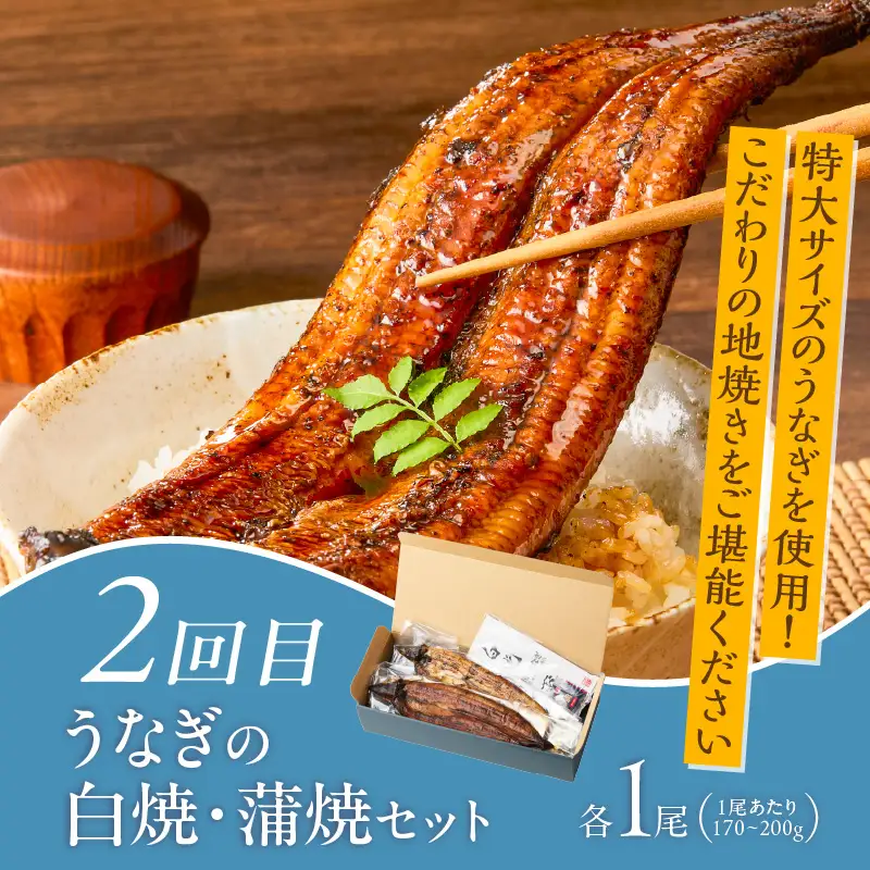 【定期便 5回】厳選！海づくし定期便 _ 定期便 5回 お届け 海づくし 海鮮 焼魚 真鯛味噌焼 金目鯛塩焼 銀ダラ味醂 紅鮭塩焼 漬け丼 銀ダラ西京漬け 銀むつ カマ煮付け 辛子明太子 食べ比べ 本マグロ 赤身柵 中トロ柵 グルメ おかず 厳選 海の恵み お取り寄せ 福岡県 久留米市 送料無料  〔Tk125〕