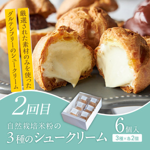 【定期便 6回】甘党必見！至福のスイーツ定期便 _ 定期便 6回 スイーツ 毎月お届け ショコラテリーヌ シュークリーム バスクチーズケーキ いちご ジェラート アイスクリーム 洋菓子 クレープ ボンボンショコラ グルメ お菓子 デザート お取り寄せ 福岡県 久留米市 送料無料  〔Tk128〕