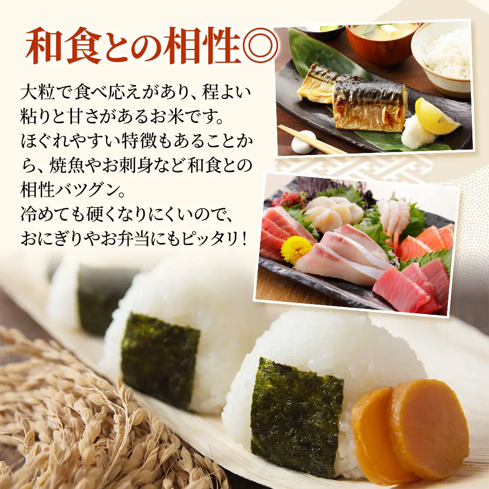 【6ヶ月定期便】令和8年産 新之助 新米 5㎏ 6回
