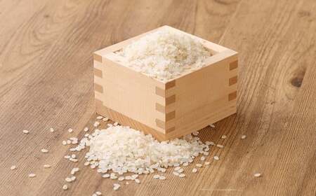 【5分】 夢つくし （特別栽培米） 約10kg 福岡県産 令和7年産 米 こめ コメ