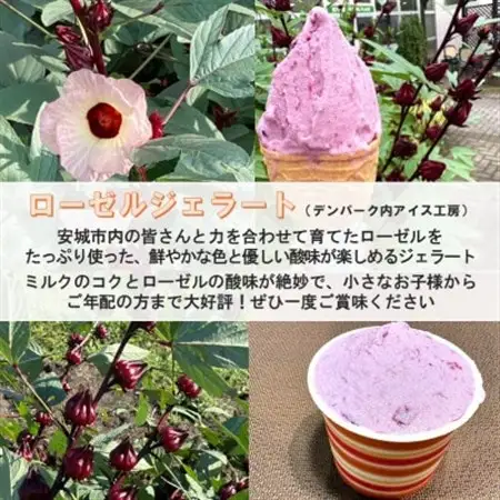 デンパーク入園券2枚+ローゼルジェラート引換券2枚+スノードーム作り体験券1枚/愛知県安城市【1686741】