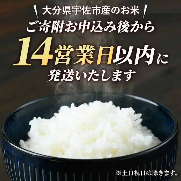 宇佐市産なつほのか (計10kg・5kg×2) ＜北海道 沖縄 離島配送不可＞米 お米 なつほのか ナツホノカ 白米 ご飯 大分県産 10kg【119000201】【カネガエ】