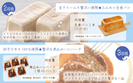 【5回定期便】男性一人暮らしさんのための 定期便 四万十市 四万十 高知 高知県 しまんと 鰹 かつお かつおのたたき 牛肉 ハンバーグ 煮込み 四万十牛 ピザ ピッツァ ガトーショコラ 冷凍 食パン パン 39210-999-9004