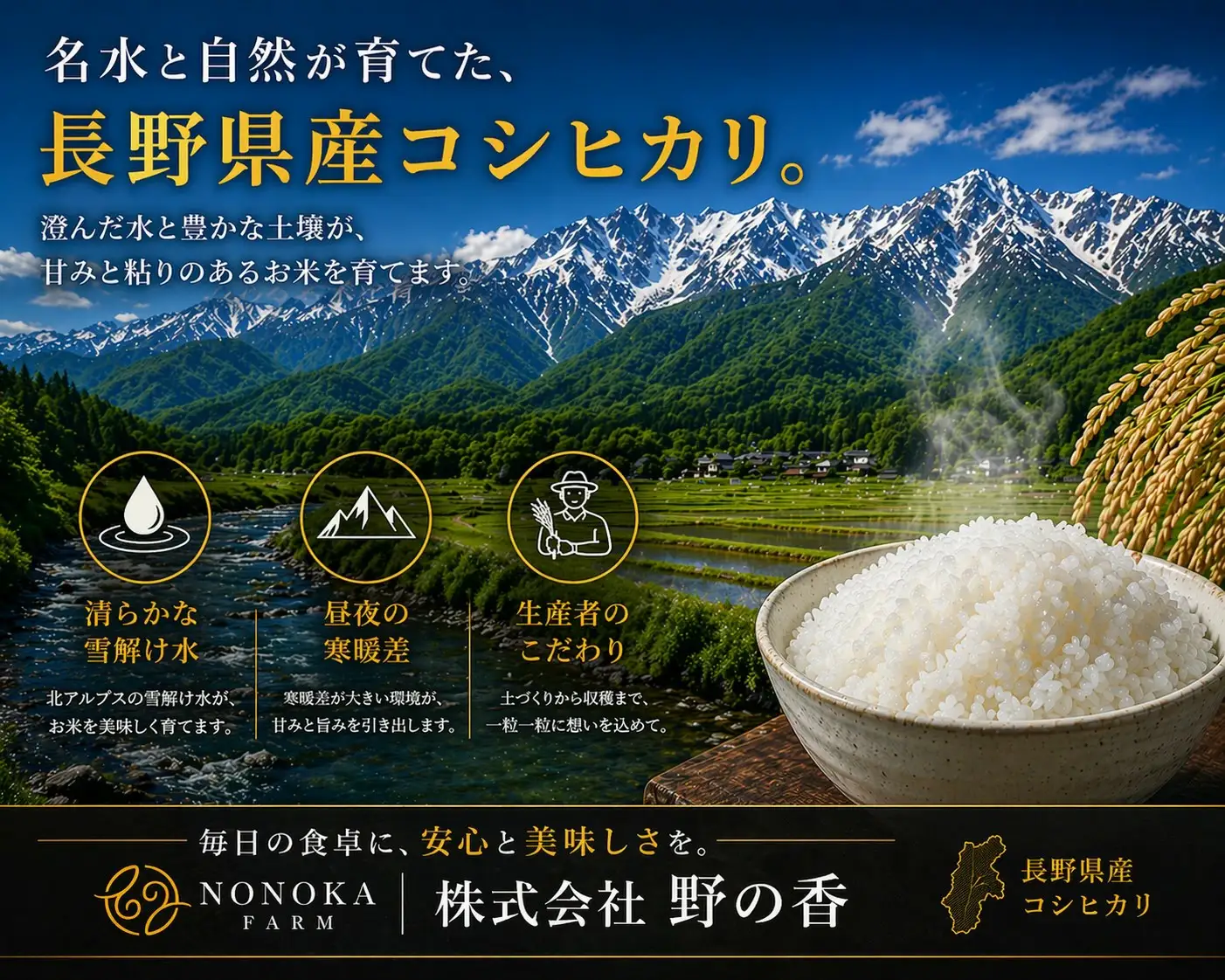 【6ヶ月定期便】金芽米 生坂村産コシヒカリ 無洗米 5kg 長野県産|  コシヒカリ