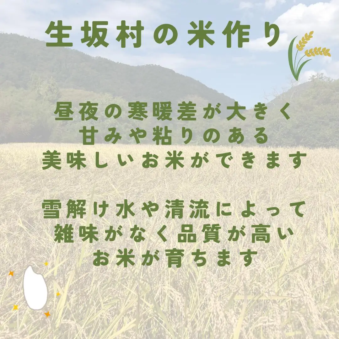 【6ヶ月定期便】コシヒカリ 無洗米 5kg(1袋)×6回 株式会社野の香 | コシヒカリ 