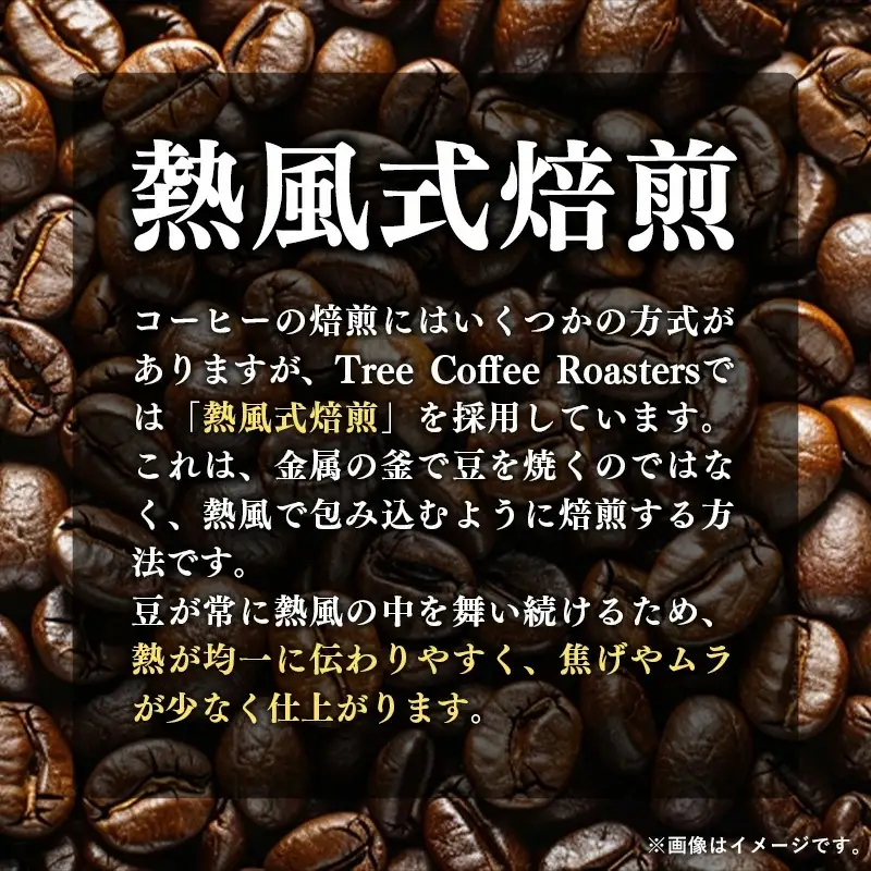 【完全受注焙煎】Tree Coffee Roasters「ペルー レッドコンドル ハイロースト」 200g - コーヒー 豆 自家焙煎 熱風式焙煎 贈り物