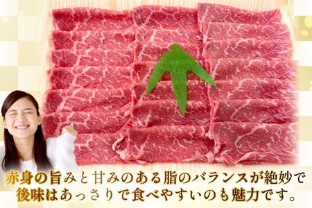 AJ503 長崎和牛 もも スライス 約1kg(500g×2P)