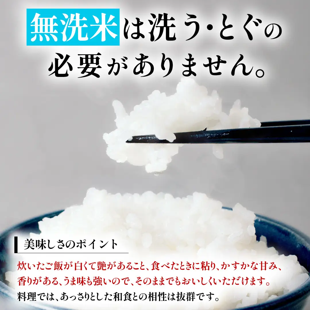 コシヒカリ 無洗米 5kg 令和7年産 スピード出荷 最短3〜7営業日出荷 即納 最短発送 時短 洗わず炊ける 一人暮らし 単身赴任 キャンプ アウトドア 精米 米 コメ こめ 単一米 茨城県 城里町産  (AX015)
